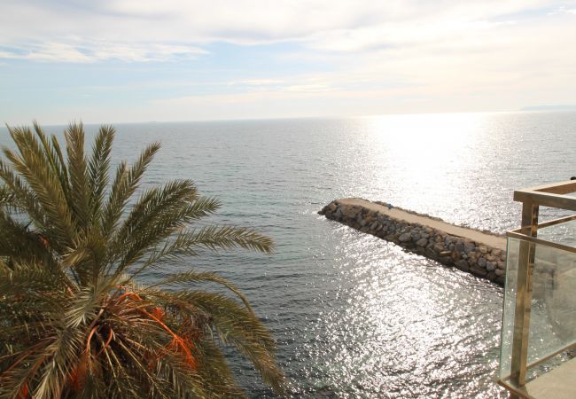 Apartamento en Alicante - APARTAMENTO VORAMAR Apartamento en Alicante - APARTAMENTO VORAMAR
