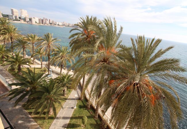Apartamento en Alicante - APARTAMENTO VORAMAR Apartamento en Alicante - APARTAMENTO VORAMAR