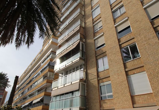 Apartamento en Alicante - APARTAMENTO VORAMAR Apartamento en Alicante - APARTAMENTO VORAMAR