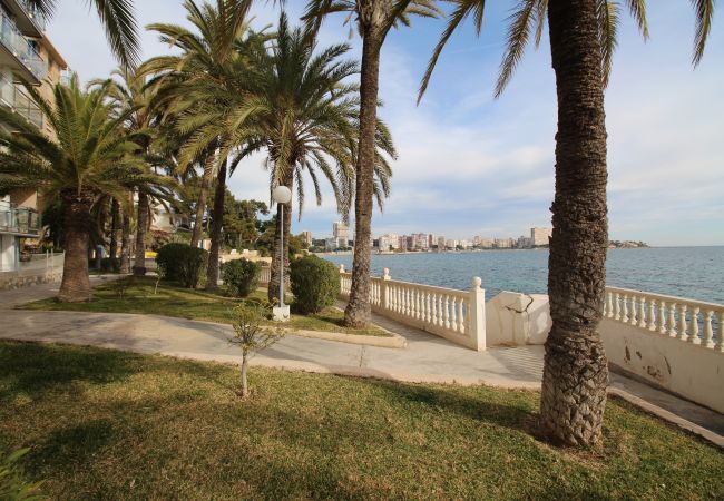 Apartamento en Alicante - APARTAMENTO VORAMAR Apartamento en Alicante - APARTAMENTO VORAMAR