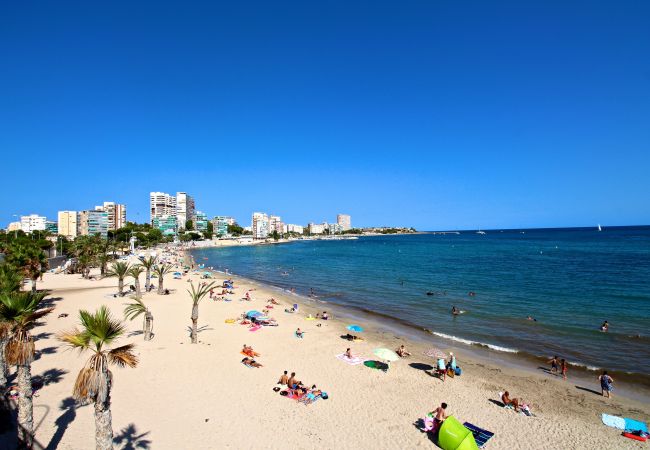 Apartamento en Alicante - APARTAMENTO VORAMAR Apartamento en Alicante - APARTAMENTO VORAMAR