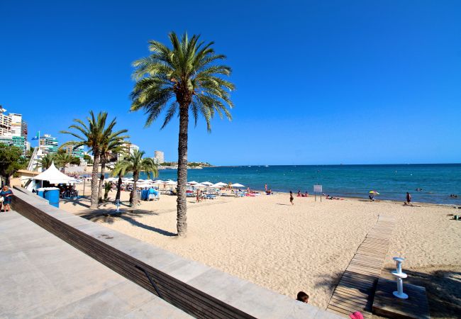 Apartamento en Alicante - APARTAMENTO VORAMAR Apartamento en Alicante - APARTAMENTO VORAMAR