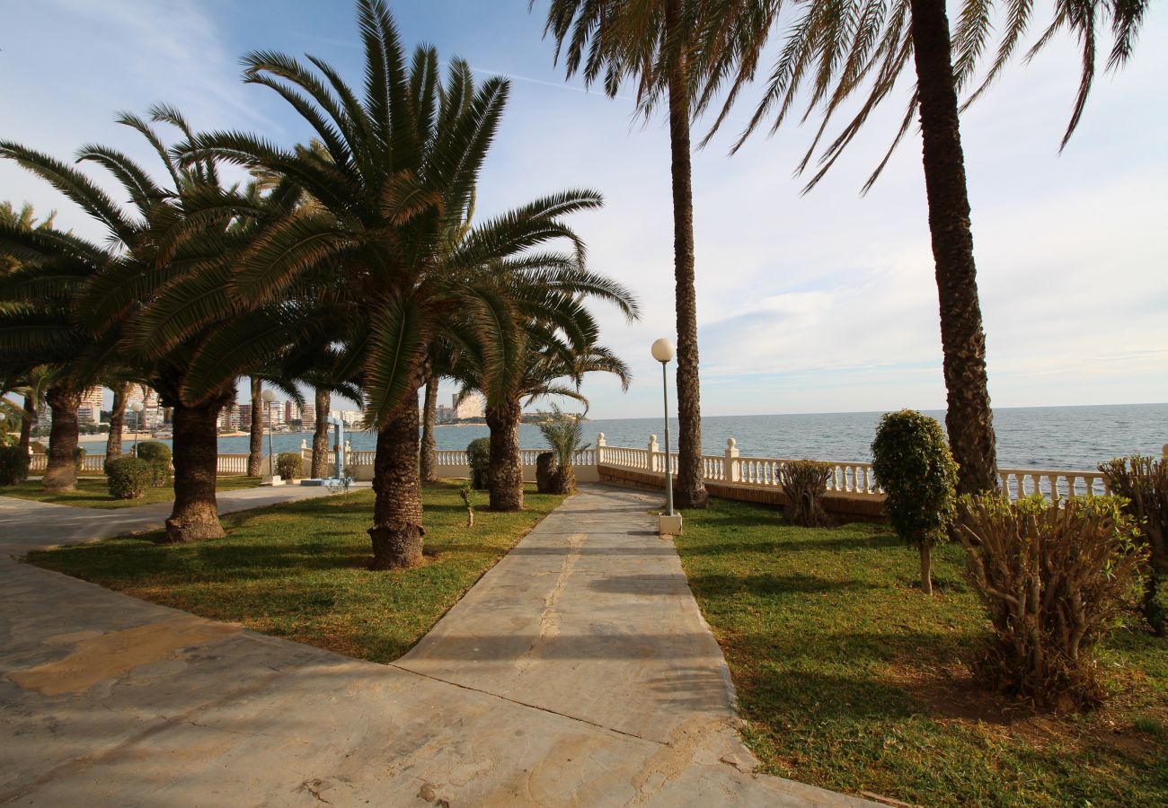 Apartamento en Alicante - APARTAMENTO VORAMAR Apartamento en Alicante - APARTAMENTO VORAMAR