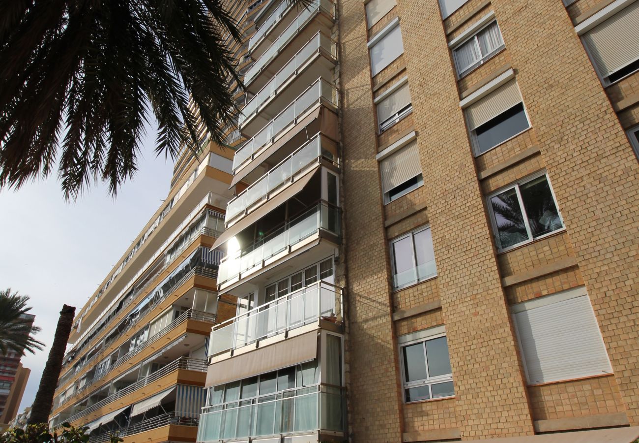Apartamento en Alicante - APARTAMENTO VORAMAR Apartamento en Alicante - APARTAMENTO VORAMAR