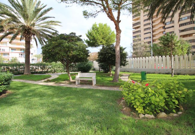 apartamento san juan alicante apartamentos en alicante apartamento playa de san juan apartamento san juan alicante apartamentos en alicante apartamento playa de san juan
