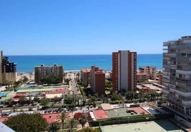 Apartamento en Alicante - APARTAMENTO MAR Apartamento en Alicante - APARTAMENTO MAR