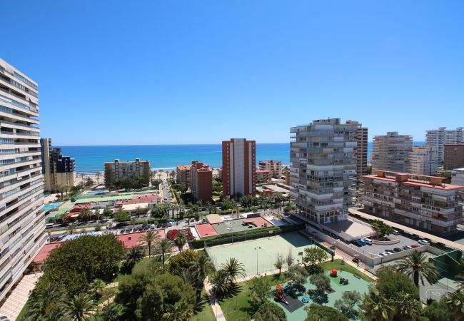 Apartamento en Alicante - APARTAMENTO MAR Apartamento en Alicante - APARTAMENTO MAR