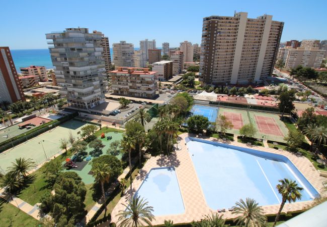 Apartamento en Alicante - APARTAMENTO MAR Apartamento en Alicante - APARTAMENTO MAR