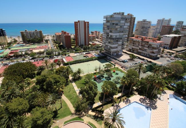 Apartamento en Alicante - APARTAMENTO MAR Apartamento en Alicante - APARTAMENTO MAR