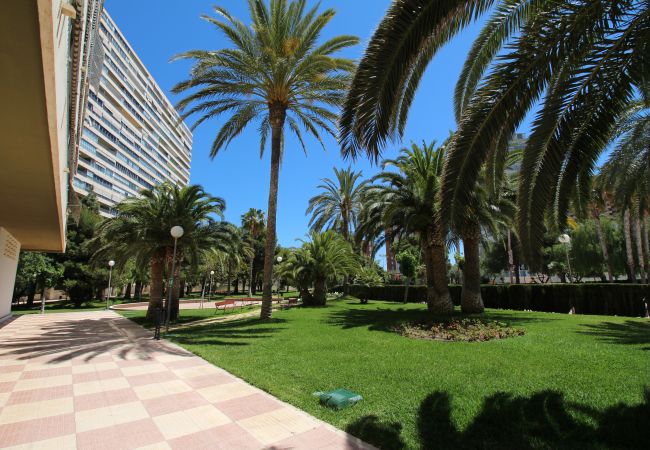 Apartamento en Alicante - APARTAMENTO MAR Apartamento en Alicante - APARTAMENTO MAR