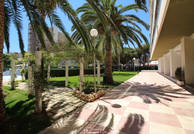 Apartamento en Alicante - APARTAMENTO MAR Apartamento en Alicante - APARTAMENTO MAR