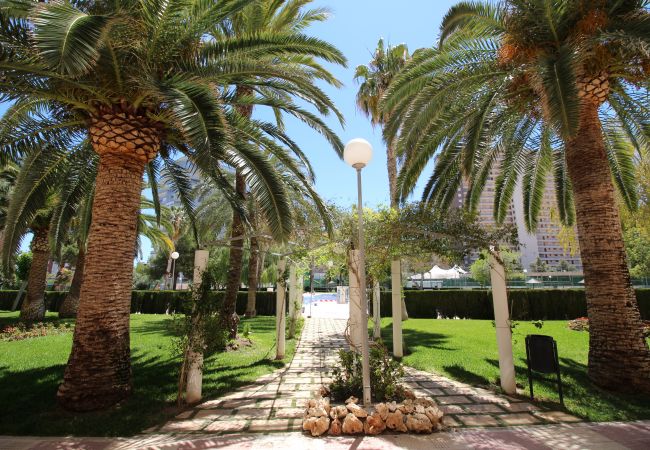 Apartamento en Alicante - APARTAMENTO MAR Apartamento en Alicante - APARTAMENTO MAR