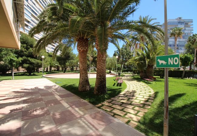 Apartamento en Alicante - APARTAMENTO MAR Apartamento en Alicante - APARTAMENTO MAR