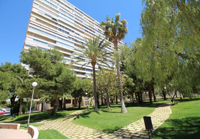 Apartamento en Alicante - APARTAMENTO MAR Apartamento en Alicante - APARTAMENTO MAR