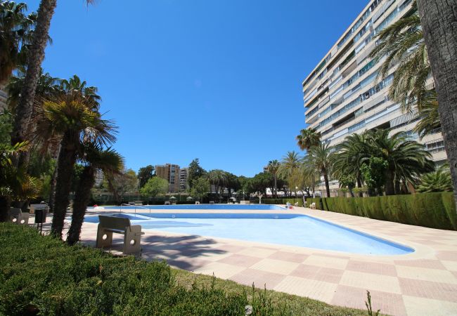 Apartamento en Alicante - APARTAMENTO MAR Apartamento en Alicante - APARTAMENTO MAR