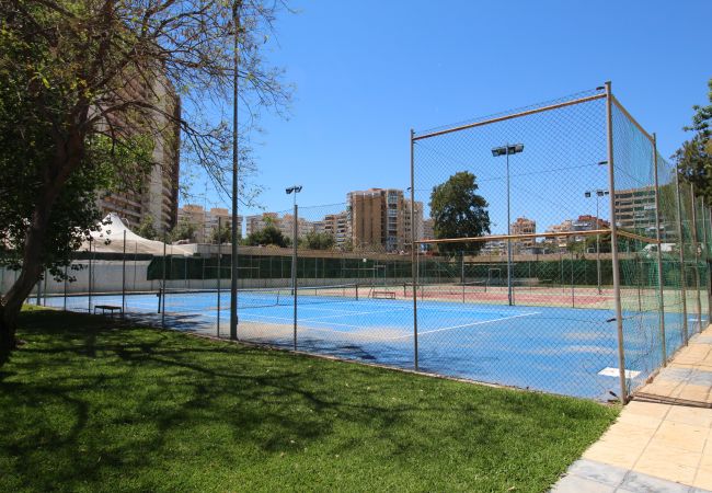 Apartamento en Alicante - APARTAMENTO MAR Apartamento en Alicante - APARTAMENTO MAR