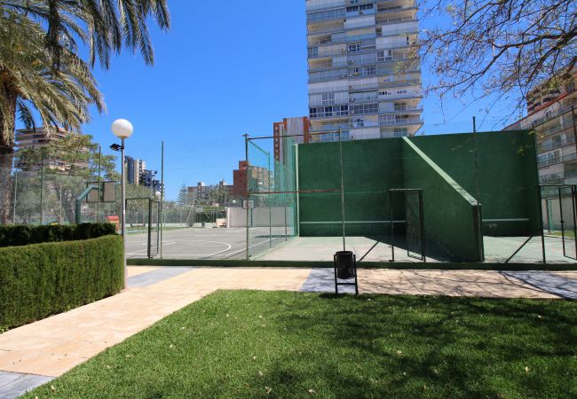 Apartamento en Alicante - APARTAMENTO MAR Apartamento en Alicante - APARTAMENTO MAR