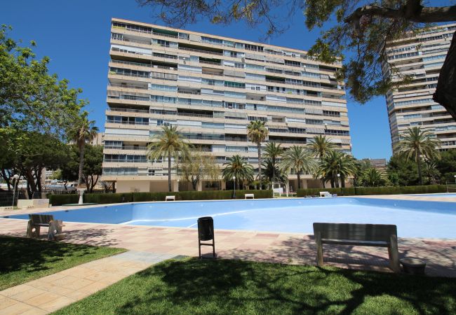 Apartamento en Alicante - APARTAMENTO MAR Apartamento en Alicante - APARTAMENTO MAR
