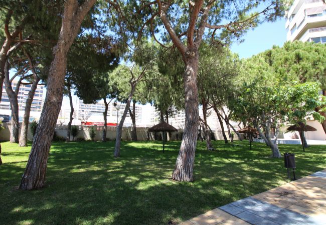 Apartamento en Alicante - APARTAMENTO MAR Apartamento en Alicante - APARTAMENTO MAR