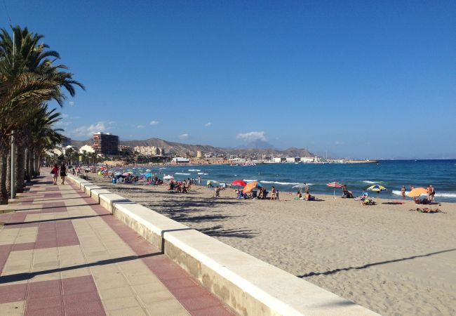 Apartamento en Alicante - APARTAMENTO MAR Apartamento en Alicante - APARTAMENTO MAR