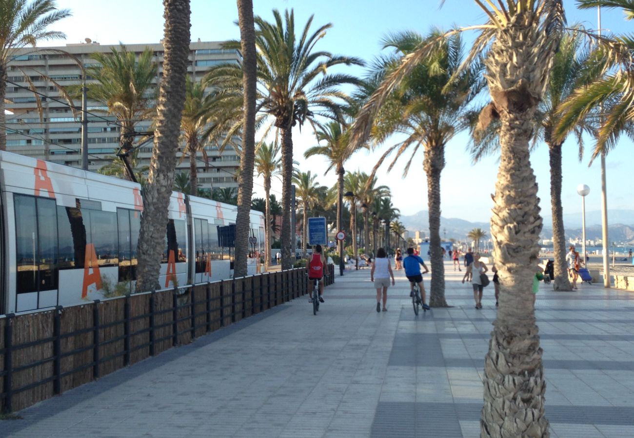 Apartamento en Alicante - APARTAMENTO MAR Apartamento en Alicante - APARTAMENTO MAR