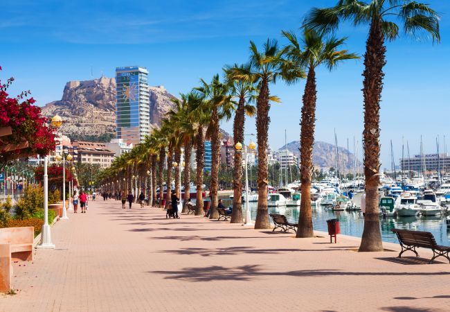 Apartamento en Alicante - APARTAMENTO PLAYA POSTIGUET Apartamento en Alicante - APARTAMENTO PLAYA POSTIGUET