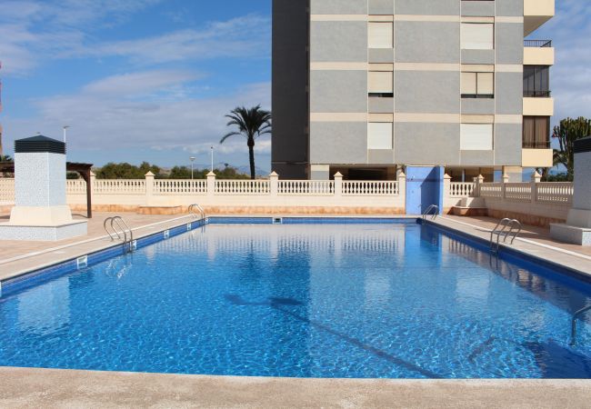 Apartamento en Arenales del Sol - APARTAMENTO ARENALES Apartamento en Arenales del Sol - APARTAMENTO ARENALES
