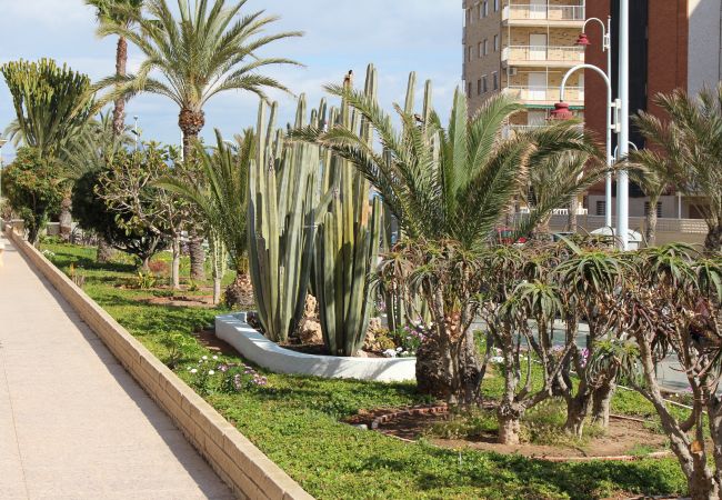 Apartamento en Arenales del Sol - APARTAMENTO ARENALES Apartamento en Arenales del Sol - APARTAMENTO ARENALES