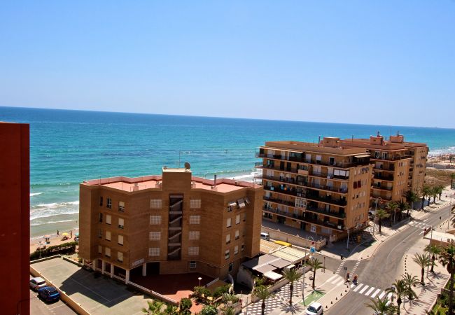 Apartamento en Arenales del Sol - APARTAMENTO ARENALES Apartamento en Arenales del Sol - APARTAMENTO ARENALES