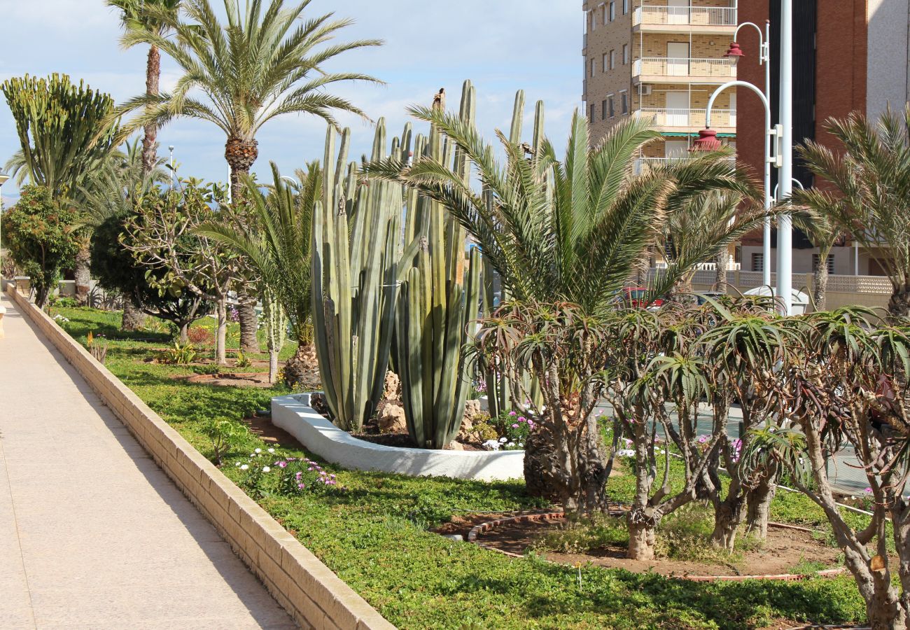 Apartamento en Arenales del Sol - APARTAMENTO ARENALES Apartamento en Arenales del Sol - APARTAMENTO ARENALES
