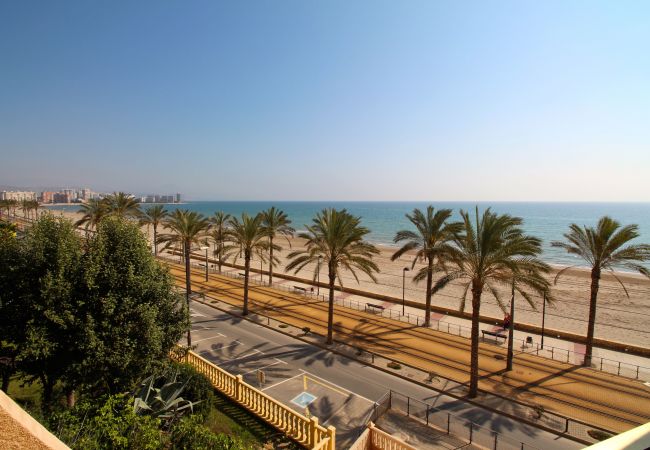 Apartamento en El Campello - ESTUDIO PLAYA MUCHAVISTA