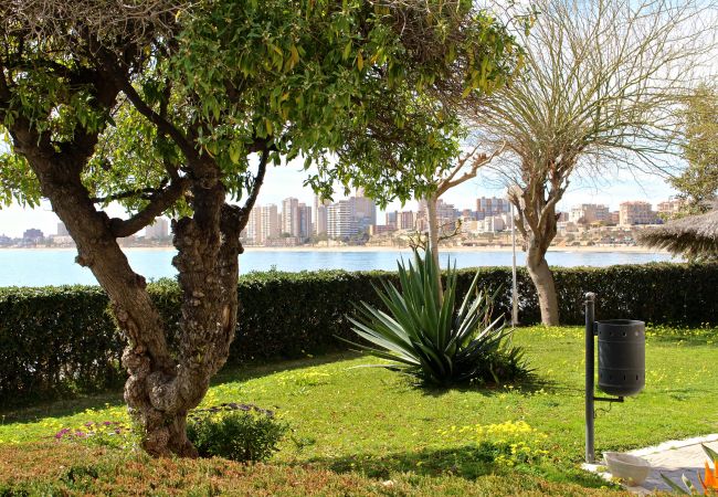 Apartamento en El Campello - APARTAMENTO CABO AZUL Apartamento en El Campello - APARTAMENTO CABO AZUL