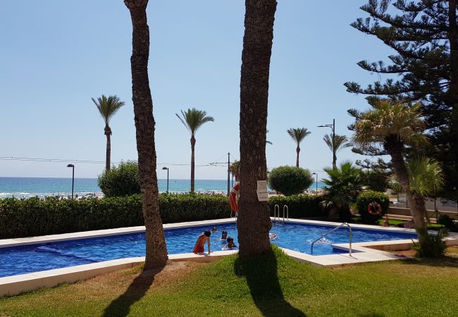 Apartamento en El Campello - LOFT PLAYA MUCHAVISTA Apartamento en El Campello - LOFT PLAYA MUCHAVISTA