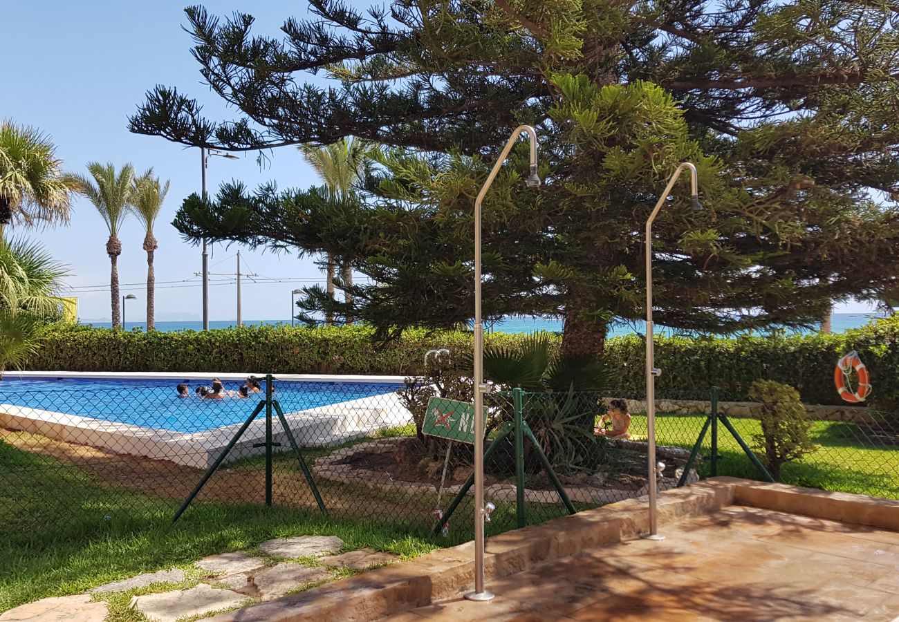 Apartamento en El Campello - LOFT PLAYA MUCHAVISTA Apartamento en El Campello - LOFT PLAYA MUCHAVISTA