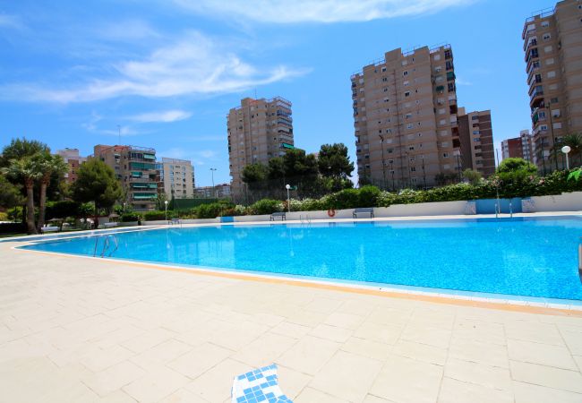 Apartamento en Alicante - Apartment near La Almadraba Beach, Alicante Apartamento en Alicante - Apartment near La Almadraba Beach, Alicante