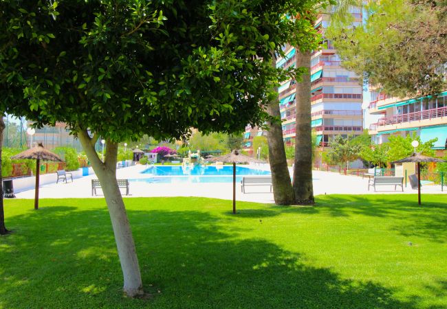 Apartamento en Alicante - Apartment near La Almadraba Beach, Alicante Apartamento en Alicante - Apartment near La Almadraba Beach, Alicante