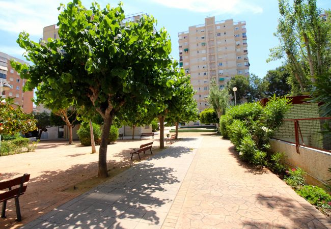 Apartamento en Alicante - Apartment near La Almadraba Beach, Alicante Apartamento en Alicante - Apartment near La Almadraba Beach, Alicante