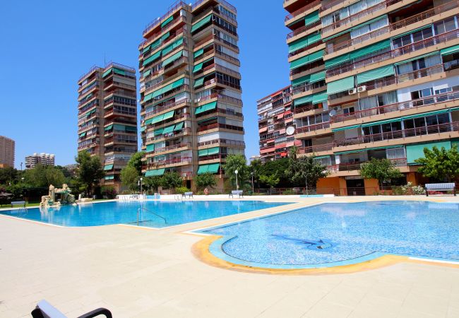 Apartamento en Alicante - Apartment near La Almadraba Beach, Alicante Apartamento en Alicante - Apartment near La Almadraba Beach, Alicante