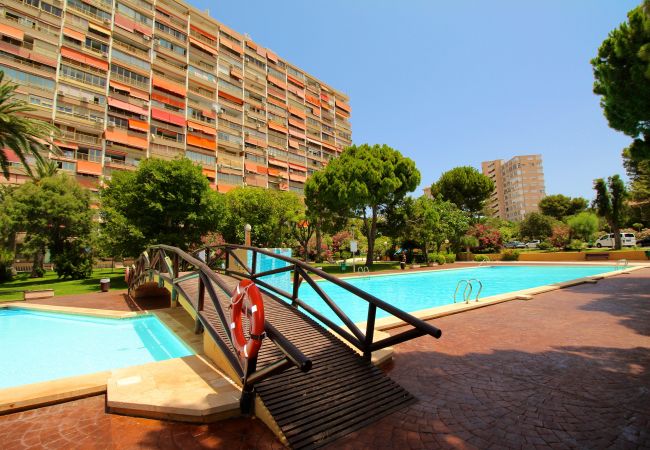 Apartamento en Cabo Huertas - APARTAMENTO EL TRIDENTE