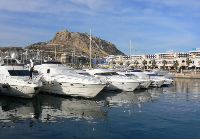 Bungalow en San Juan de Alicante - BUNGALOW NEAR SAN JUAN BEACH Bungalow en San Juan de Alicante - BUNGALOW NEAR SAN JUAN BEACH