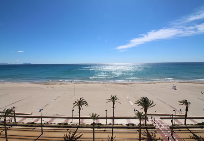 Estudio en El Campello - PRIMERA LINEA MUCHAVISTA BEACH Estudio en El Campello - PRIMERA LINEA MUCHAVISTA BEACH