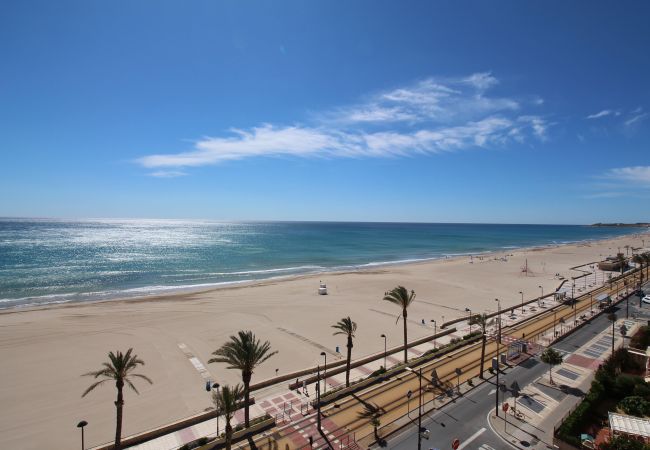 Estudio en El Campello - PRIMERA LINEA MUCHAVISTA BEACH Estudio en El Campello - PRIMERA LINEA MUCHAVISTA BEACH