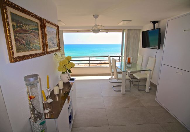 Estudio en El Campello - PRIMERA LINEA MUCHAVISTA BEACH Estudio en El Campello - PRIMERA LINEA MUCHAVISTA BEACH