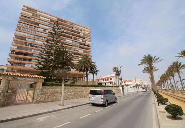 Estudio en El Campello - PRIMERA LINEA MUCHAVISTA BEACH Estudio en El Campello - PRIMERA LINEA MUCHAVISTA BEACH