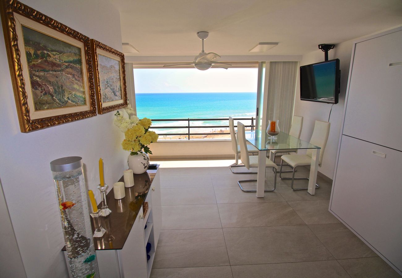 Estudio en El Campello - PRIMERA LINEA MUCHAVISTA BEACH Estudio en El Campello - PRIMERA LINEA MUCHAVISTA BEACH