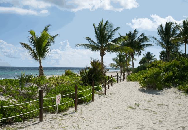 Apartamento en Solidaridad - Azul luxury condo at Mareazul ocean view /spa&golf Apartamento en Solidaridad - Azul luxury condo at Mareazul ocean view /spa&golf