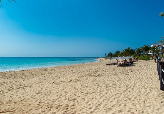 Apartamento en Solidaridad - Azul luxury condo at Mareazul ocean view /spa&golf Apartamento en Solidaridad - Azul luxury condo at Mareazul ocean view /spa&golf