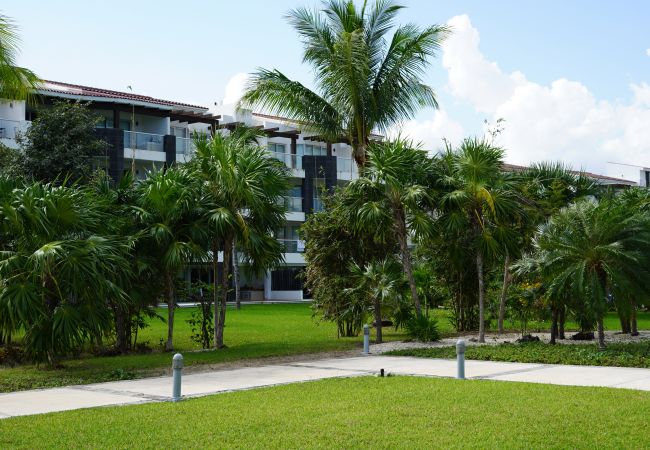 Apartamento en Solidaridad - Azul luxury condo at Mareazul ocean view /spa&golf Apartamento en Solidaridad - Azul luxury condo at Mareazul ocean view /spa&golf