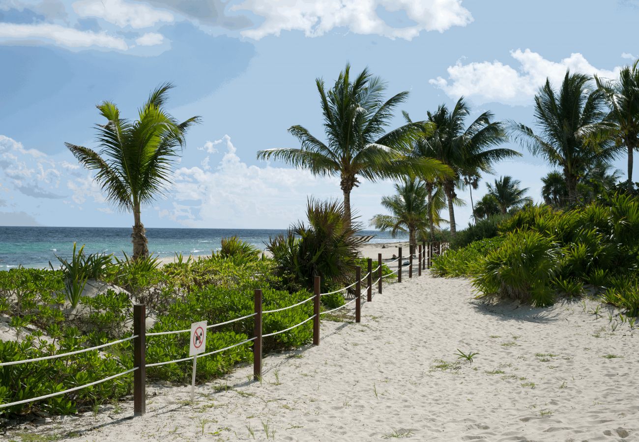 Apartamento en Solidaridad - Azul luxury condo at Mareazul ocean view /spa&golf Apartamento en Solidaridad - Azul luxury condo at Mareazul ocean view /spa&golf