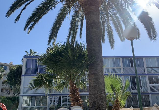 Apartamento en Albir - Sun and sea, Apartment for rest in Playa Albir, Co Apartamento en Albir - Sun and sea, Apartment for rest in Playa Albir, Co